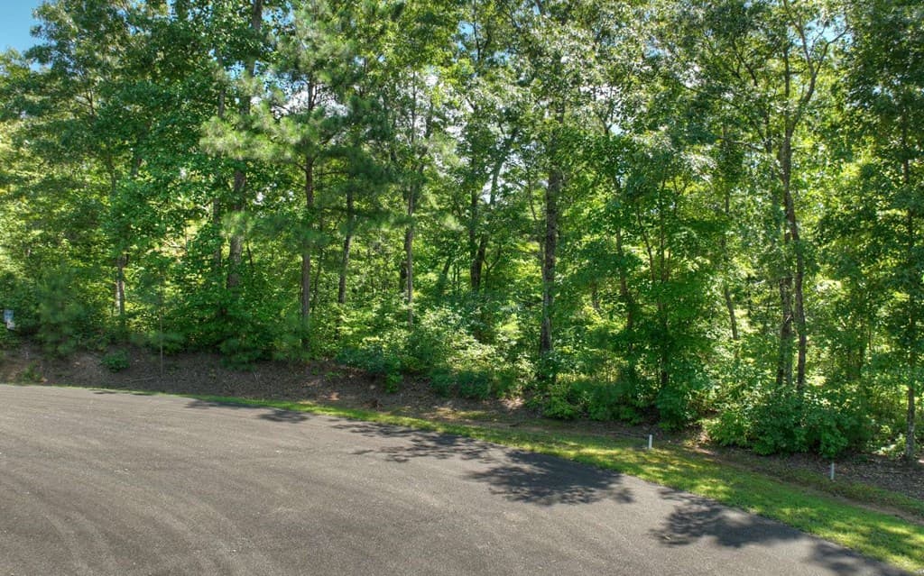 136 Whispering Ridge Court, Ellijay GA 30540 - Photo