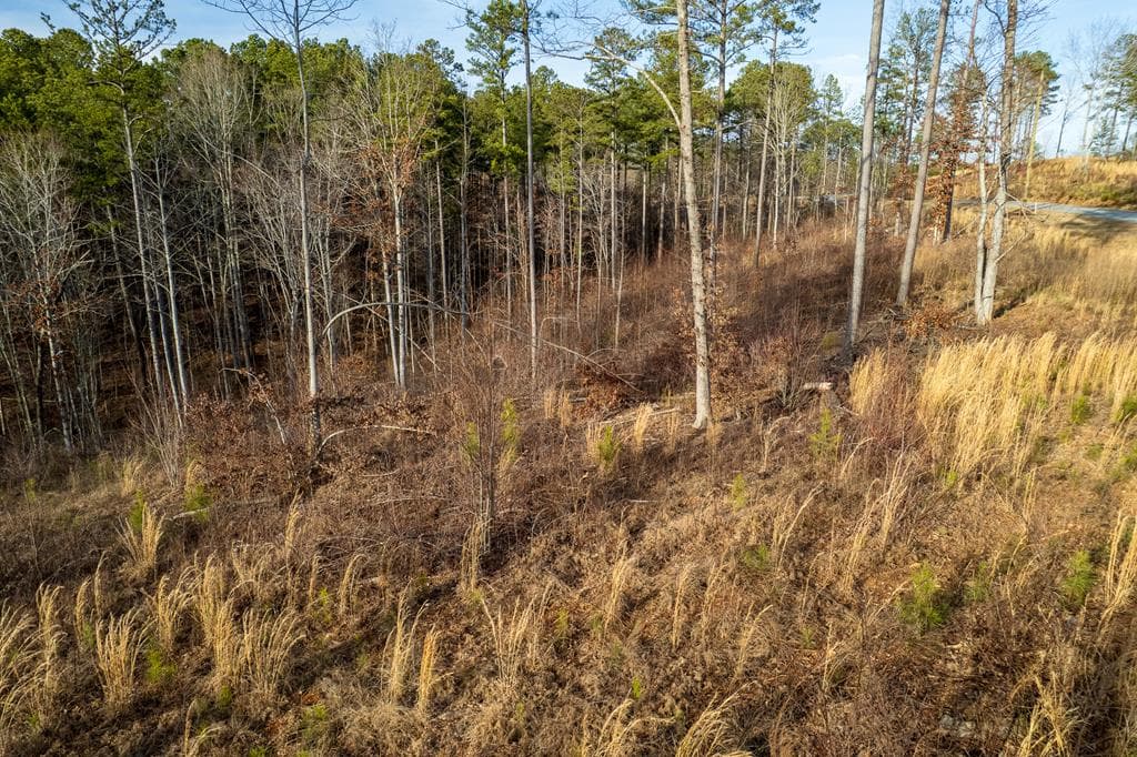 Lot 177 Shallow Water Way, Talking Rock GA 30175 - Photo