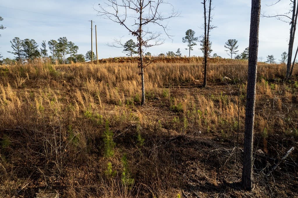 Lot 177 Shallow Water Way, Talking Rock GA 30175 - Photo