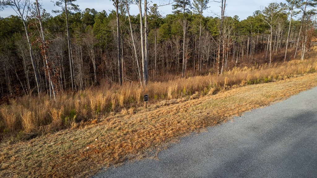 Lot 177 Shallow Water Way, Talking Rock GA 30175 - Photo