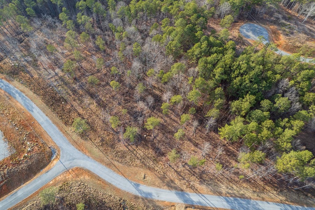 Lot 177 Shallow Water Way, Talking Rock GA 30175 - Photo