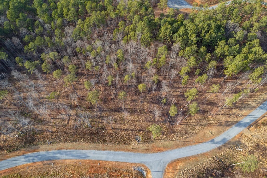 Lot 177 Shallow Water Way, Talking Rock GA 30175 - Photo
