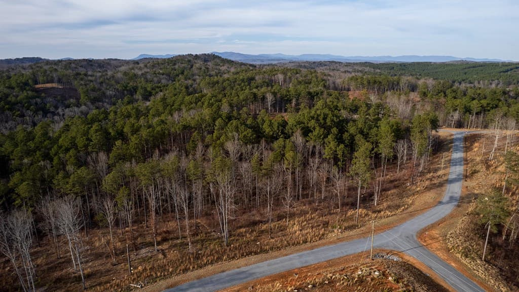 Lot 177 Shallow Water Way, Talking Rock GA 30175 - Photo