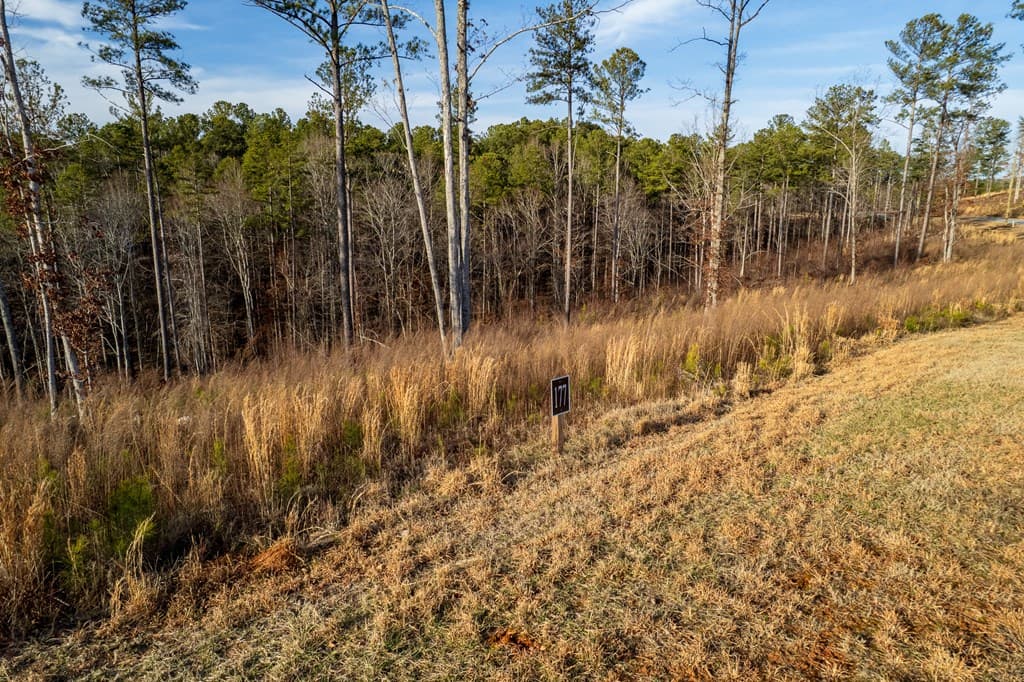 Lot 177 Shallow Water Way, Talking Rock GA 30175 - Photo