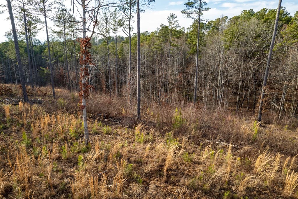 Lot 177 Shallow Water Way, Talking Rock GA 30175 - Photo