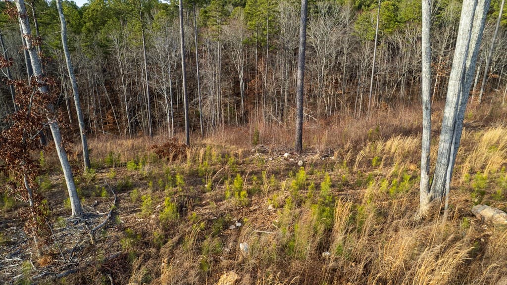 Lot 177 Shallow Water Way, Talking Rock GA 30175 - Photo