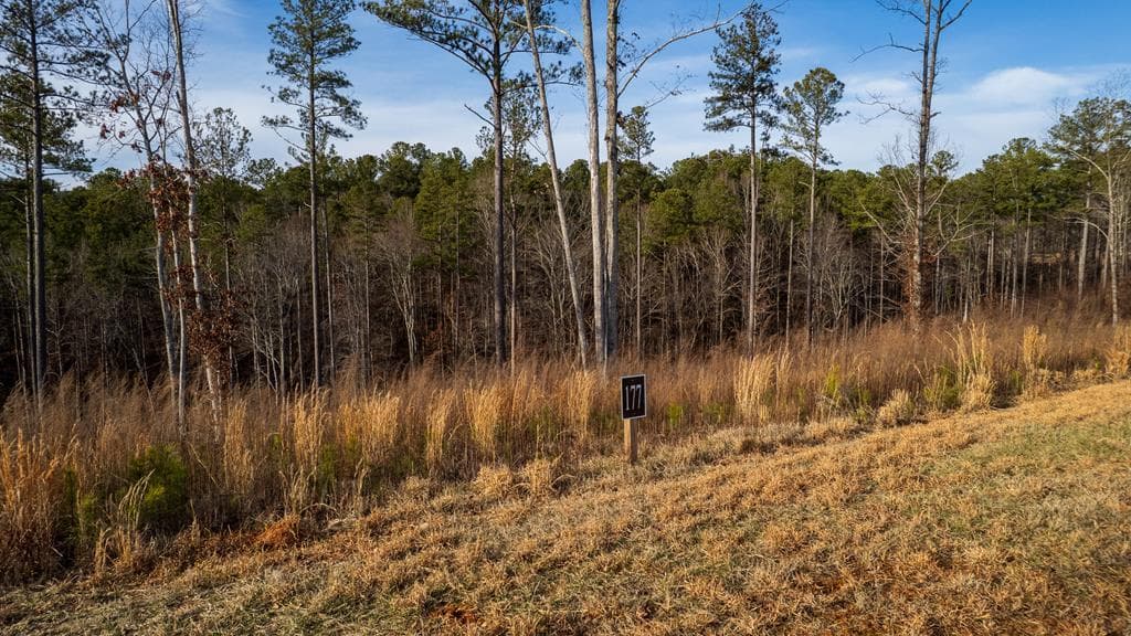 Lot 177 Shallow Water Way, Talking Rock GA 30175 - Photo