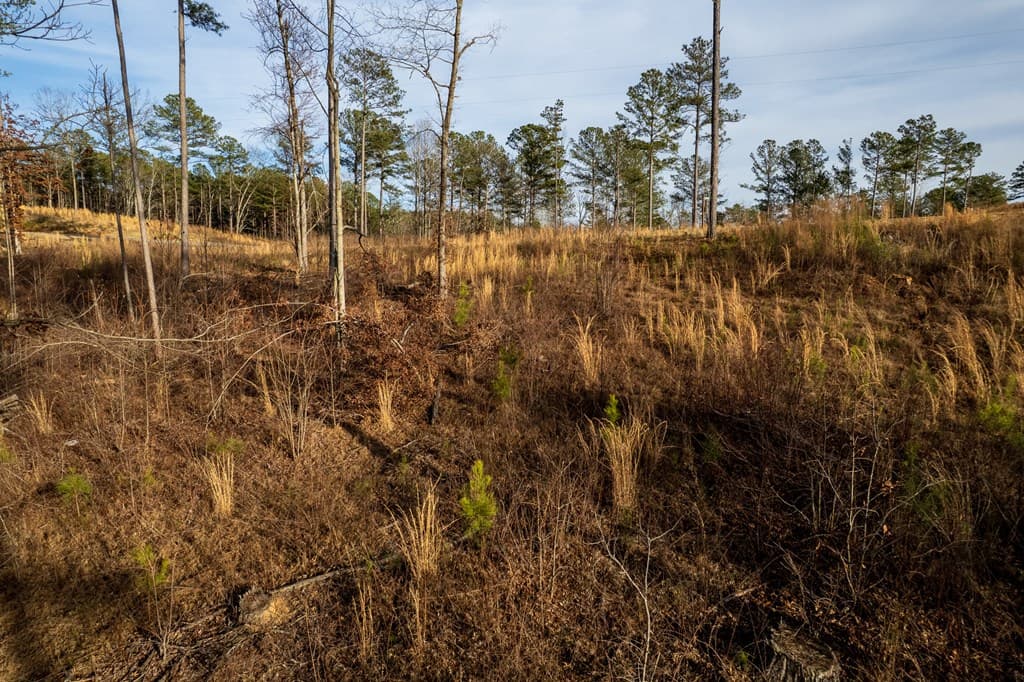Lot 177 Shallow Water Way, Talking Rock GA 30175 - Photo