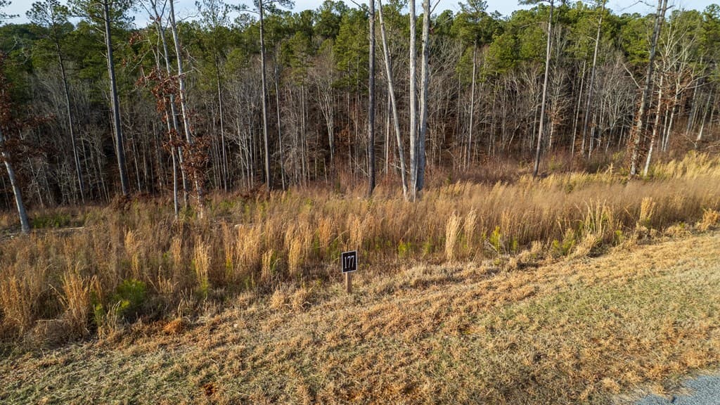 Lot 177 Shallow Water Way, Talking Rock GA 30175 - Photo