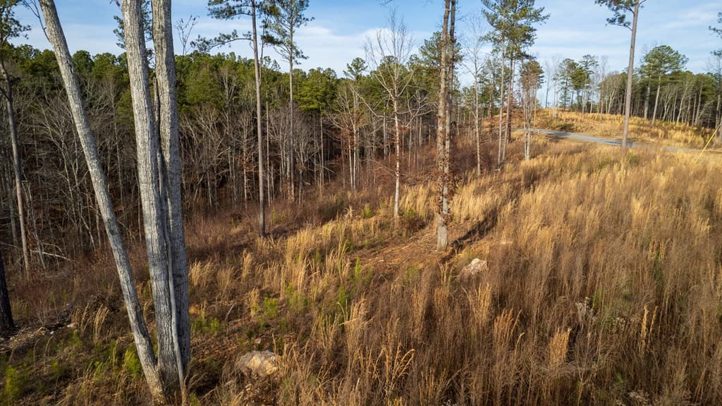 Lot 177 Shallow Water Way, Talking Rock GA 30175 - Photo