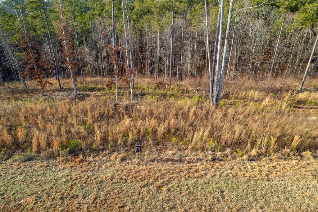 Lot 177 Shallow Water Way, Talking Rock GA 30175 - Photo