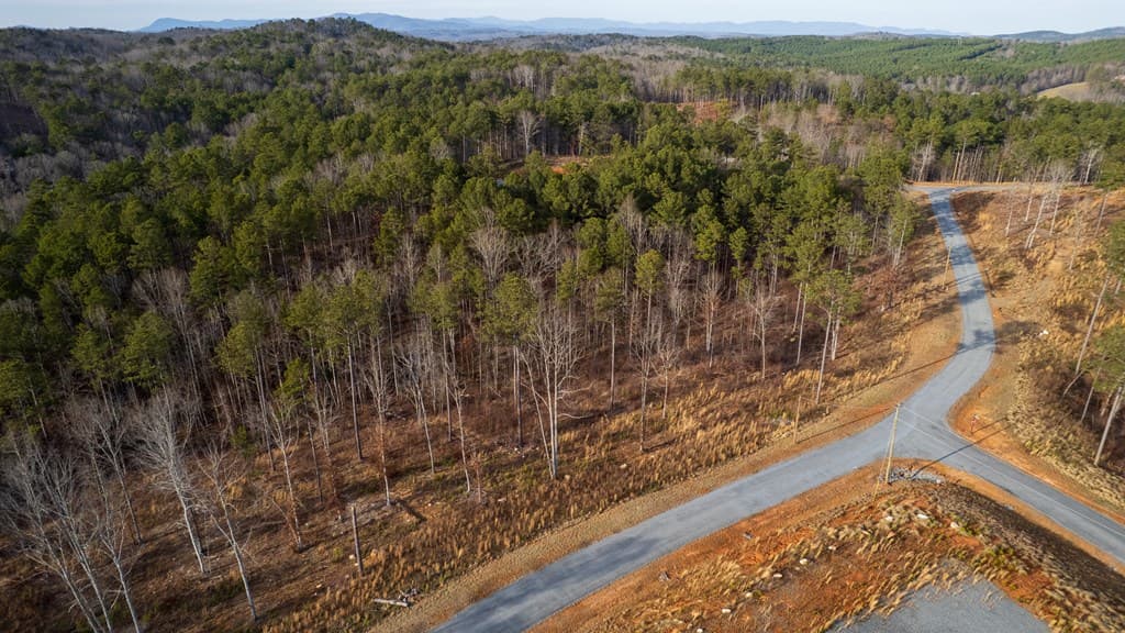 Lot 177 Shallow Water Way, Talking Rock GA 30175 - Photo