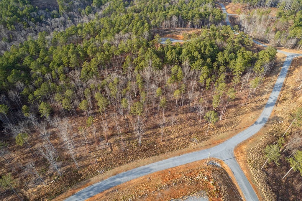 Lot 177 Shallow Water Way, Talking Rock GA 30175 - Photo