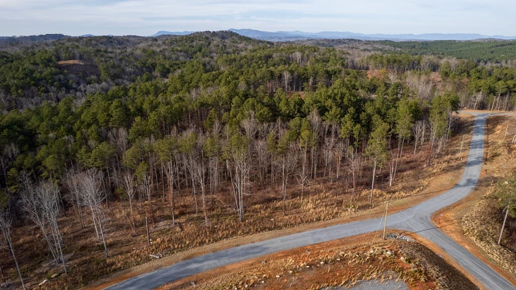 Lot 177 Shallow Water Way, Talking Rock GA 30175 - Photo