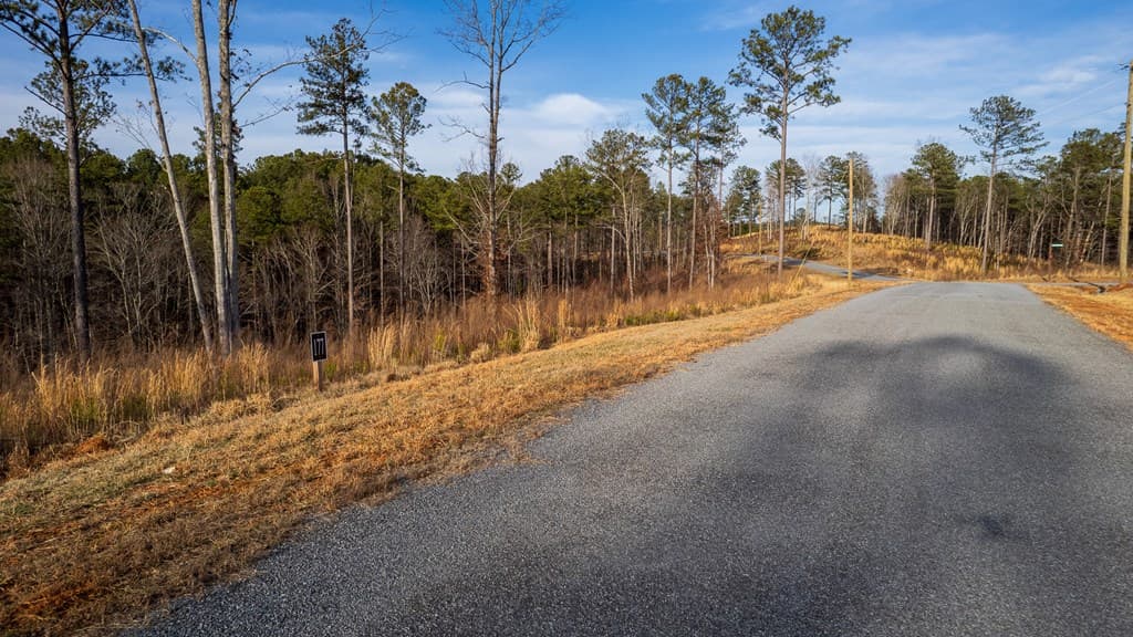 Lot 177 Shallow Water Way, Talking Rock GA 30175 - Photo