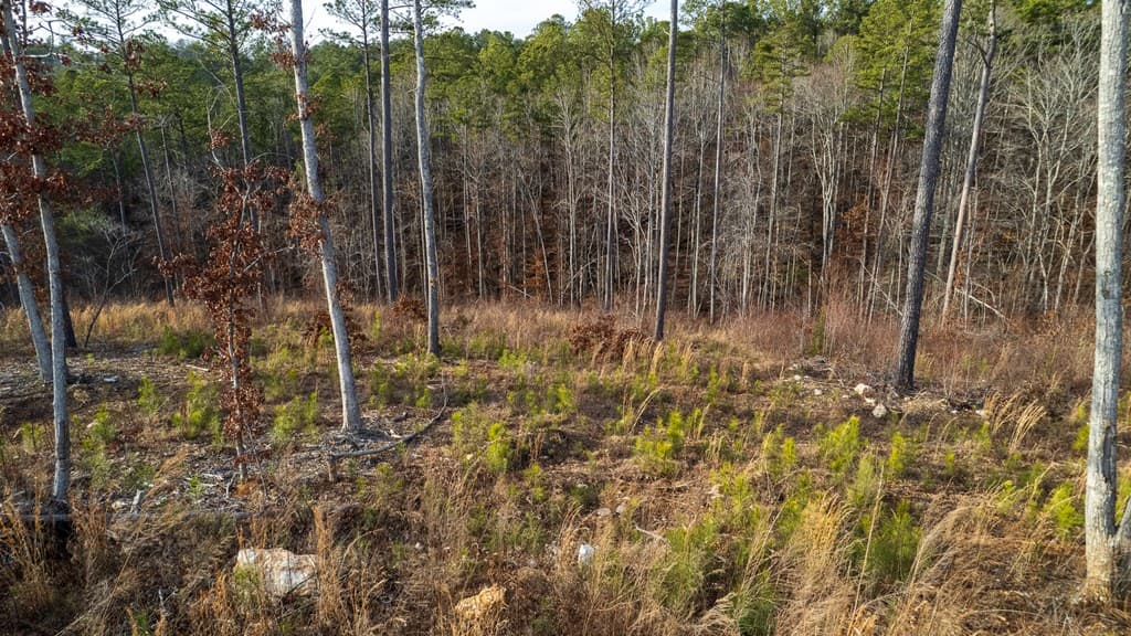 Lot 177 Shallow Water Way, Talking Rock GA 30175 - Photo