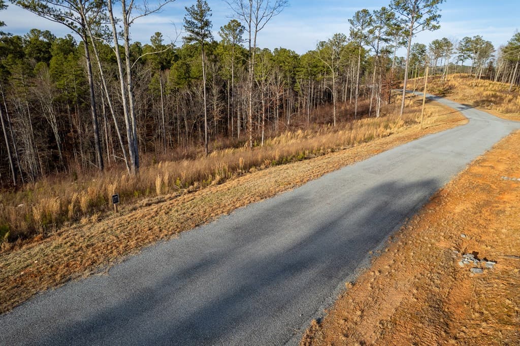 Lot 177 Shallow Water Way, Talking Rock GA 30175 - Photo