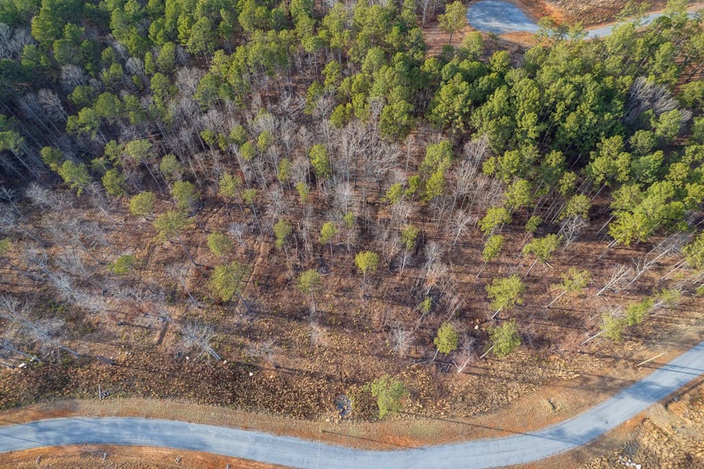 Lot 177 Shallow Water Way, Talking Rock GA 30175 - Photo