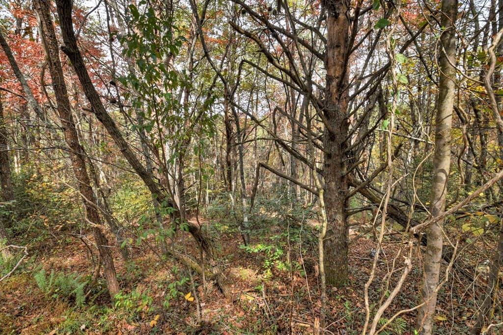 29.40 Ac Bethlehem Road, Copperhill TN 37317 - Photo