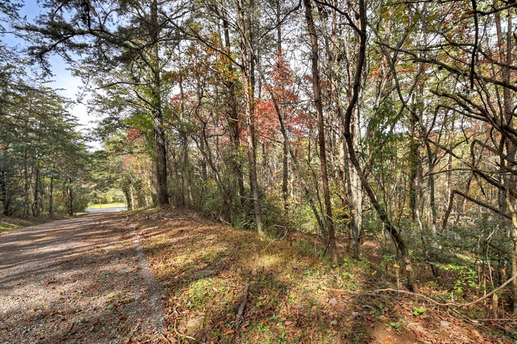 29.40 Ac Bethlehem Road, Copperhill TN 37317 - Photo
