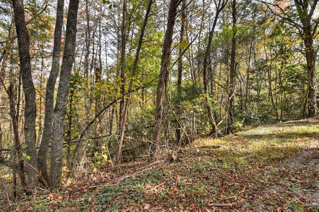 29.40 Ac Bethlehem Road, Copperhill TN 37317 - Photo