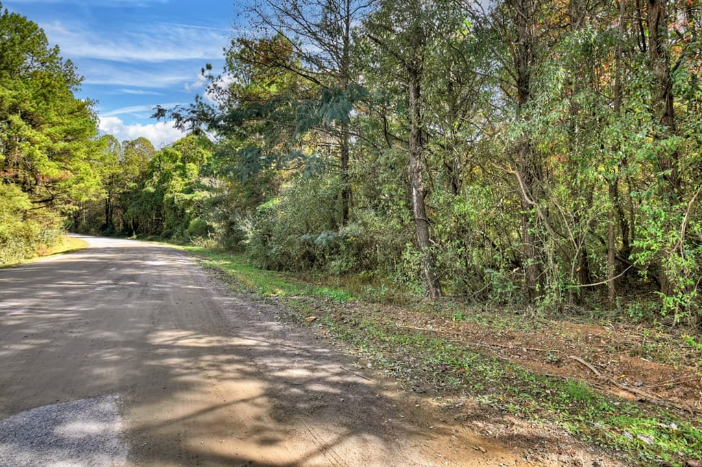 29.40 Ac Bethlehem Road, Copperhill TN 37317 - Photo