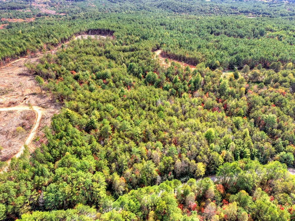 29.40 Ac Bethlehem Road, Copperhill TN 37317 - Photo