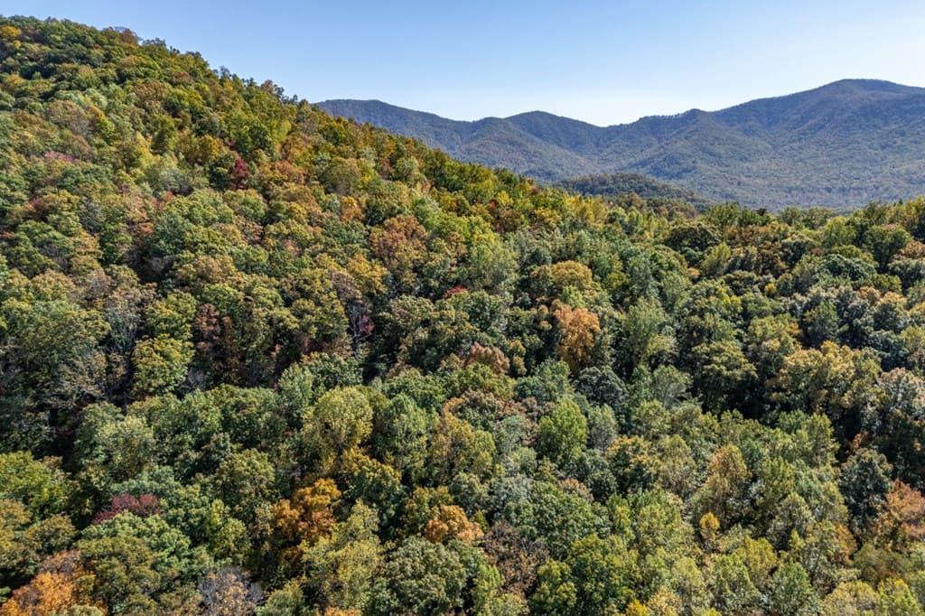 Lot 38 Skyview At Wildlife, Hayesville NC 28904 - Photo