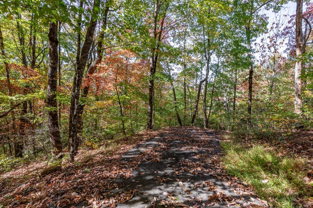 Lot 38 Skyview At Wildlife, Hayesville NC 28904 - Photo