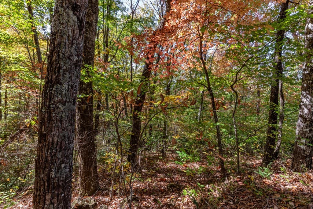 Lot 38 Skyview At Wildlife, Hayesville NC 28904 - Photo