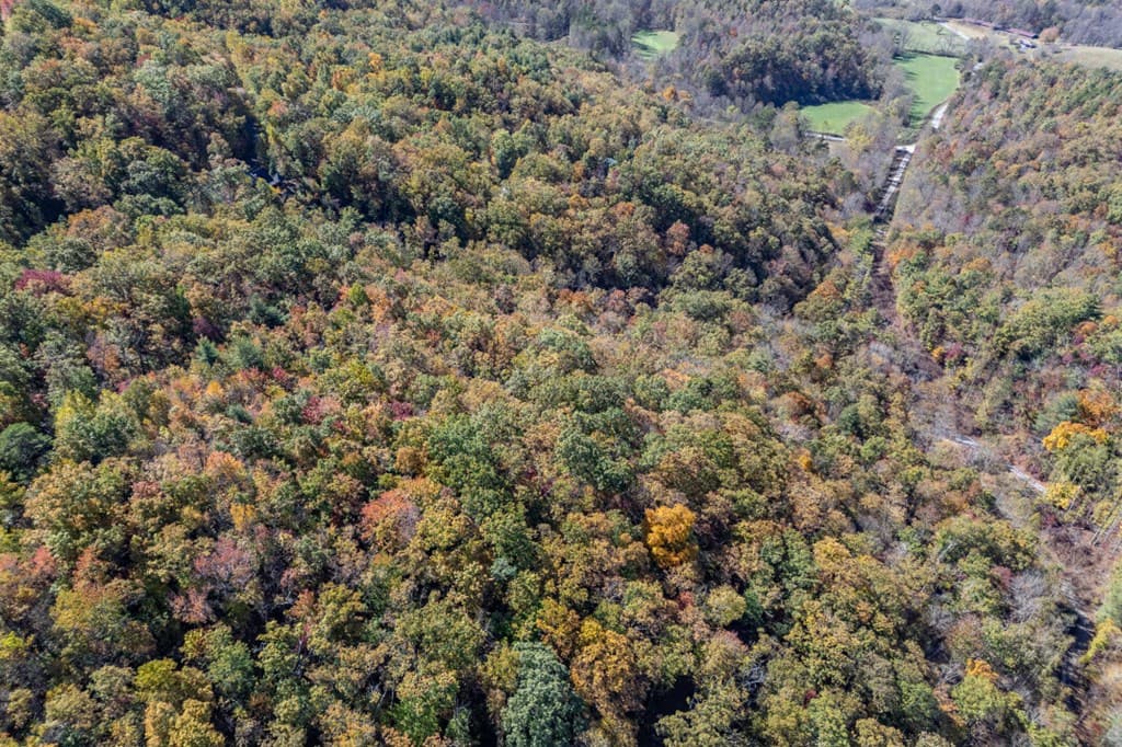 Lot 38 Skyview At Wildlife, Hayesville NC 28904 - Photo
