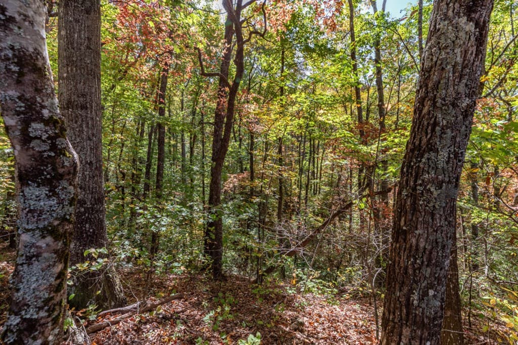Lot 38 Skyview At Wildlife, Hayesville NC 28904 - Photo
