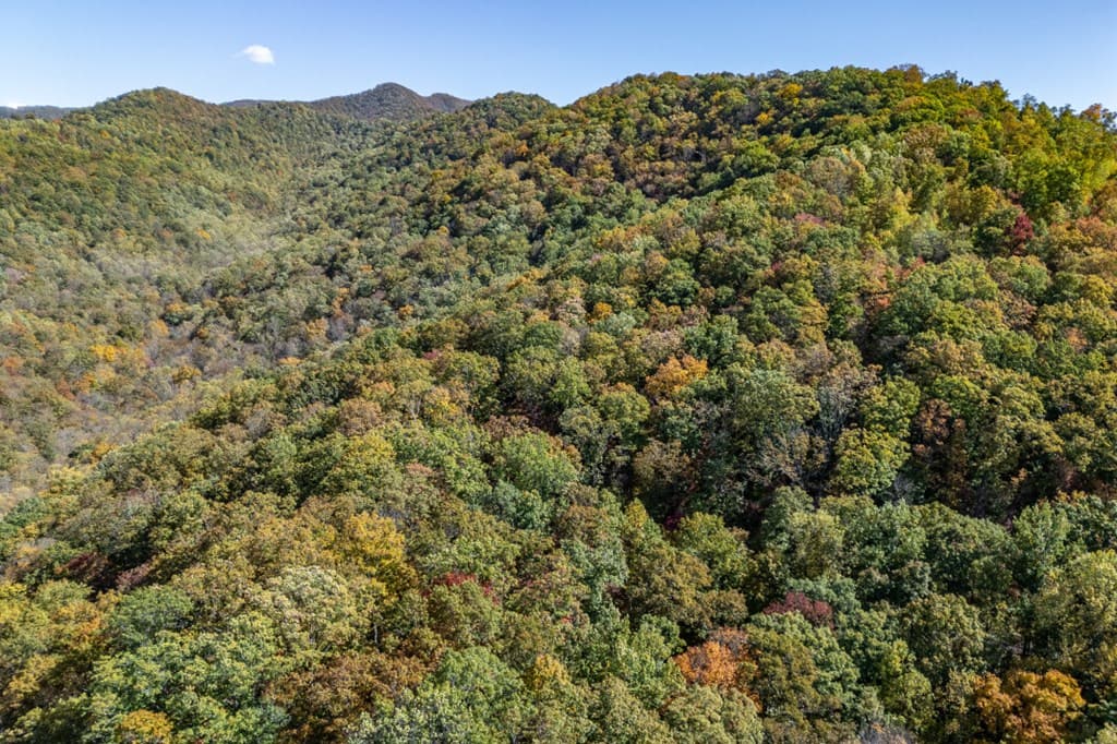 Lot 38 Skyview At Wildlife, Hayesville NC 28904 - Photo