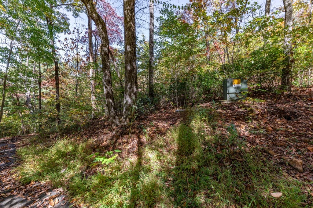 Lot 38 Skyview At Wildlife, Hayesville NC 28904 - Photo