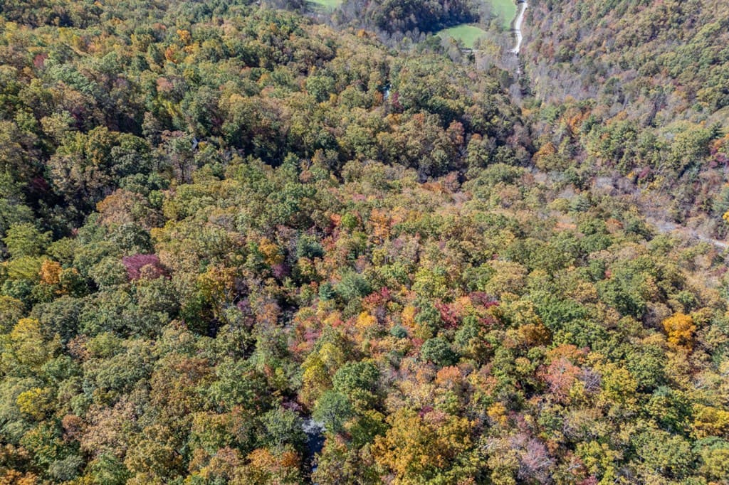 Lot 38 Skyview At Wildlife, Hayesville NC 28904 - Photo