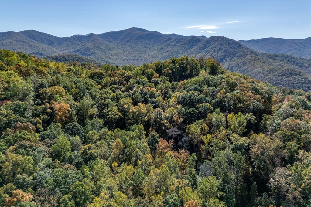 Lot 38 Skyview At Wildlife, Hayesville NC 28904 - Photo