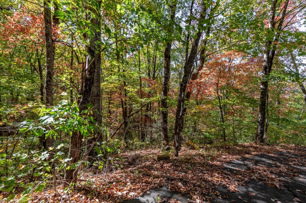 Lot 38 Skyview At Wildlife, Hayesville NC 28904 - Photo