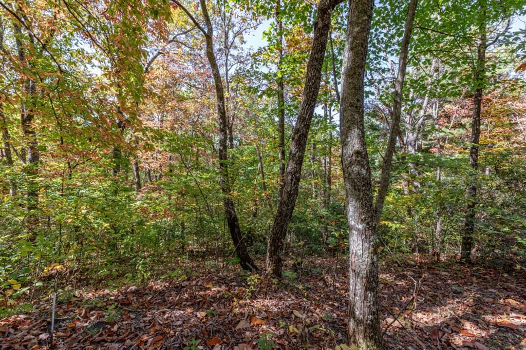 Lot 38 Skyview At Wildlife, Hayesville NC 28904 - Photo
