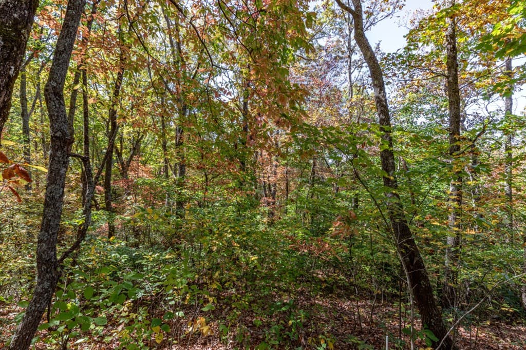 Lot 38 Skyview At Wildlife, Hayesville NC 28904 - Photo