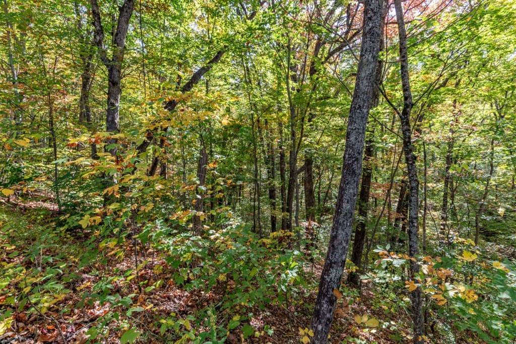 Lot 38 Skyview At Wildlife, Hayesville NC 28904 - Photo