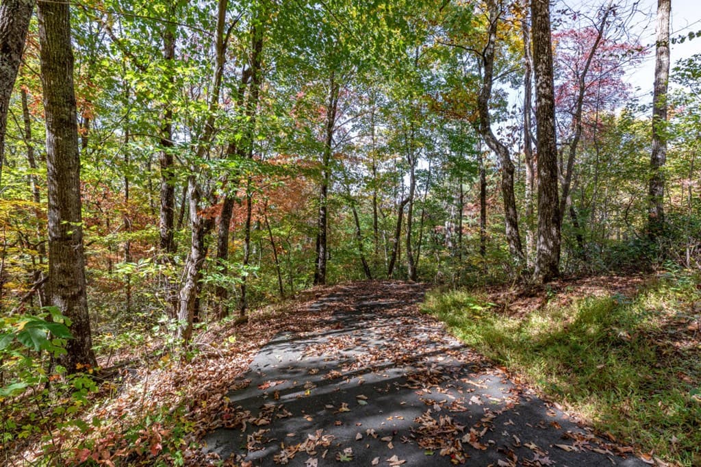 Lot 38 Skyview At Wildlife, Hayesville NC 28904 - Photo