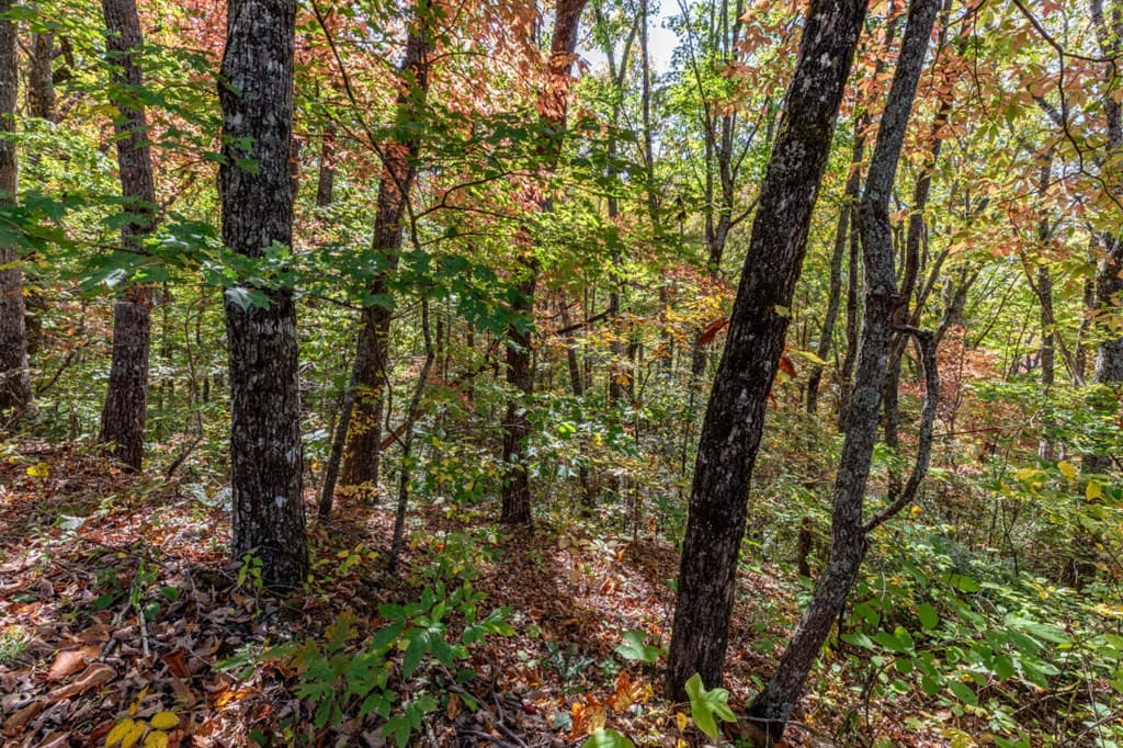 Lot 38 Skyview At Wildlife, Hayesville NC 28904 - Photo