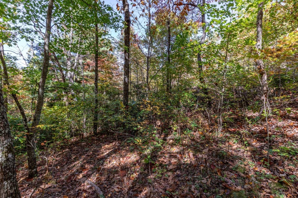 Lot 38 Skyview At Wildlife, Hayesville NC 28904 - Photo
