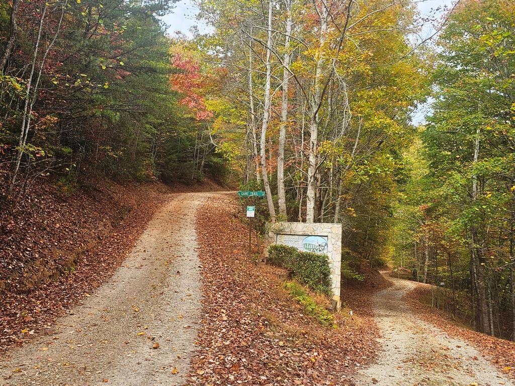 339 Game Trail Drive, Brasstown NC 28902 - Photo