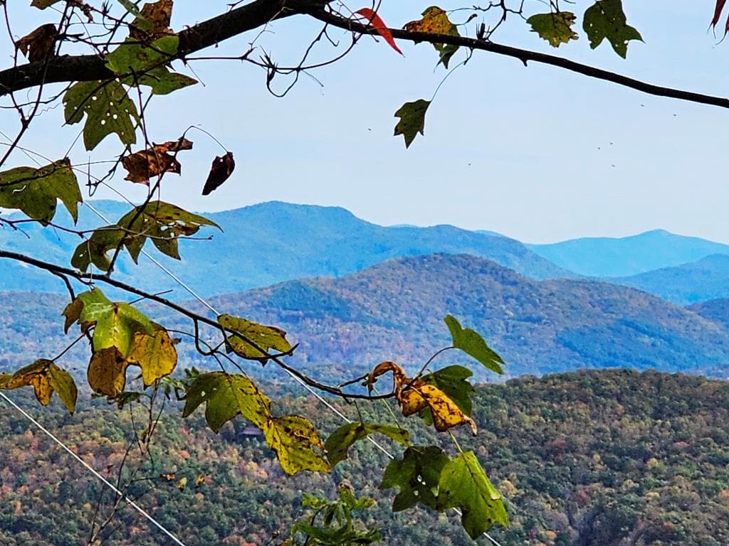 339 Game Trail Drive, Brasstown NC 28902 - Photo