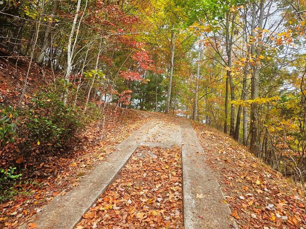 339 Game Trail Drive, Brasstown NC 28902 - Photo