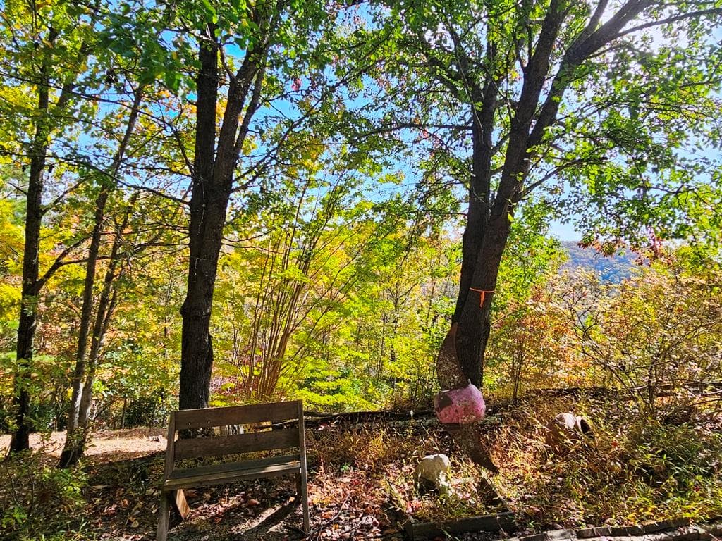 339 Game Trail Drive, Brasstown NC 28902 - Photo