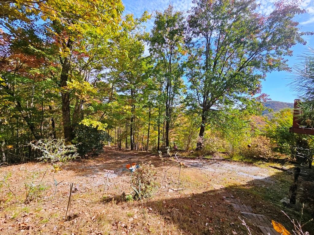339 Game Trail Drive, Brasstown NC 28902 - Photo