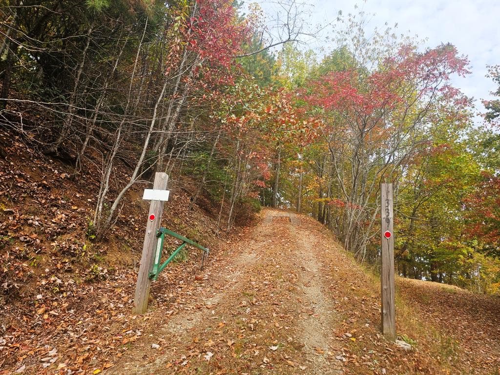 339 Game Trail Drive, Brasstown NC 28902 - Photo