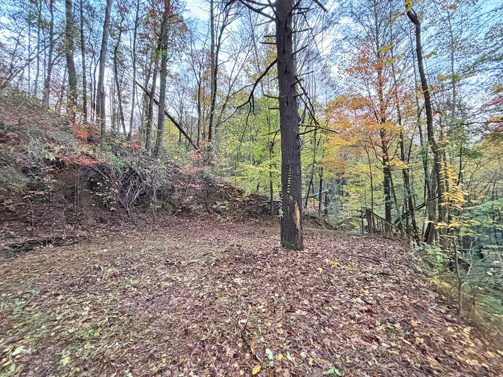137 Faircloth Drive, Blue Ridge GA 30513 - Photo